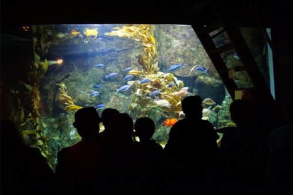 Des séries pour enfants pour explorer la science et la nature : voici les meilleures !