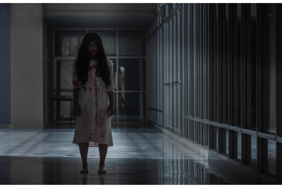 Décembre et streaming : les sorties à ne pas manquer pour Noël