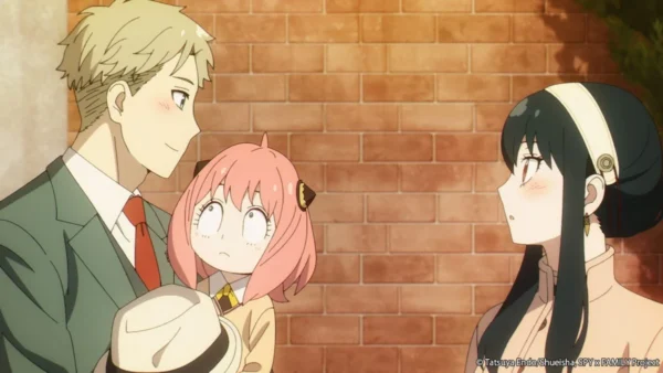 Solution logiciel : comment choisir ?