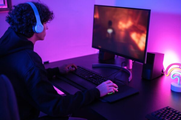 Quel est le jeu vidéo qui rapporte le plus d’argent ?